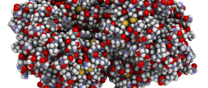 waschmittel-enzyme-uebersicht