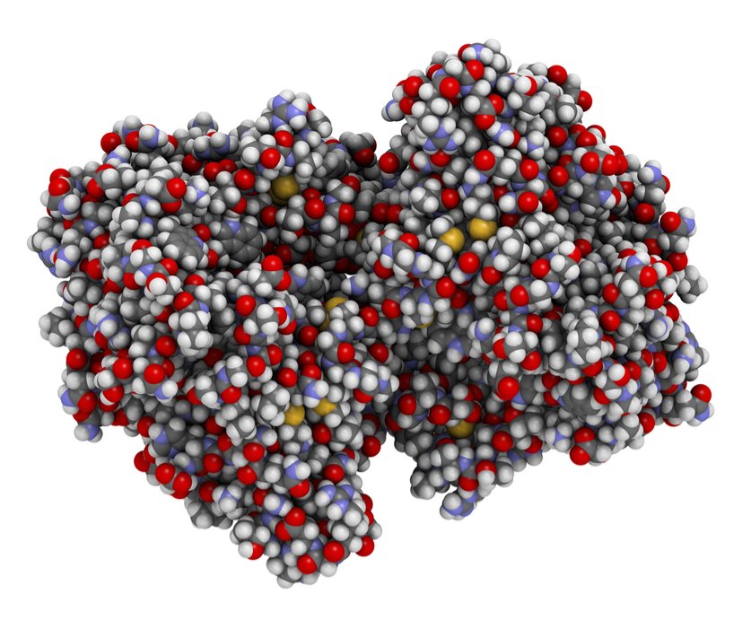 waschmittel-enzyme-uebersicht