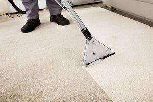 Hochfloorteppich Reinigen So Bekommen Sie Ihren Teppich Wieder Sauber